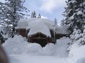Mammoth 4-5-06 010 lower Forest Trail