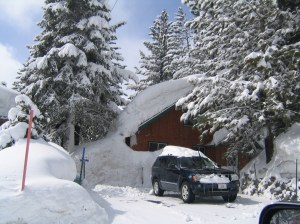 Mammoth 4-5-06 011 lower Forest Trail